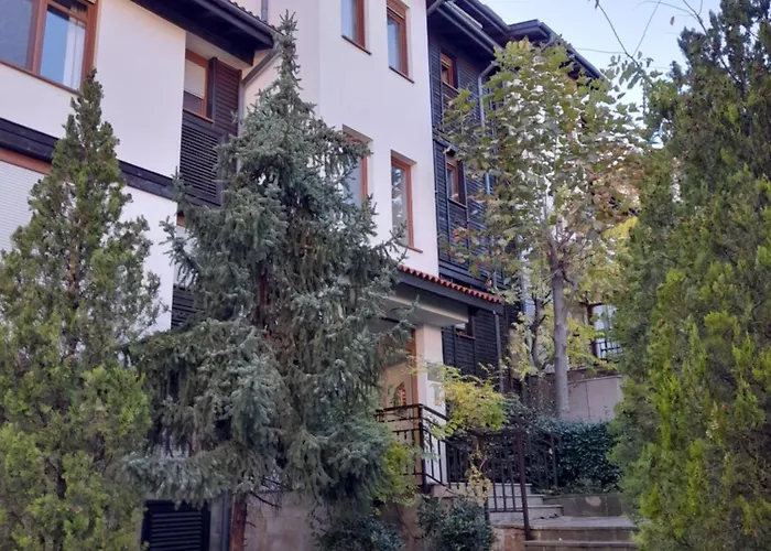 公寓 трёхкомнатные роскошные у моря в санта марина 索佐波尔