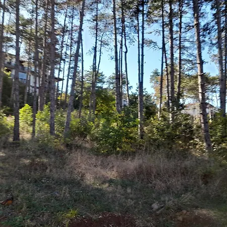 трёхкомнатные потрясающие люксовые с двумя спальнями в лучшем отеле болгарии санта марина у моря