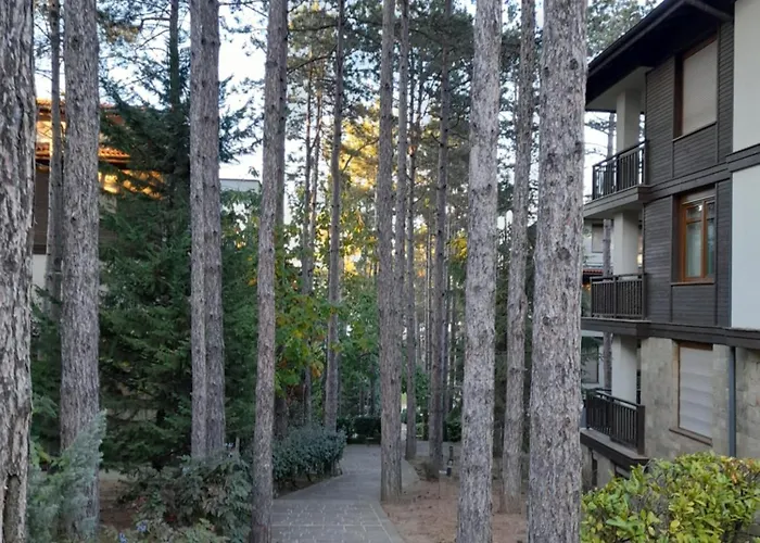 Апартамент трёхкомнатные роскошные у моря в санта марина *